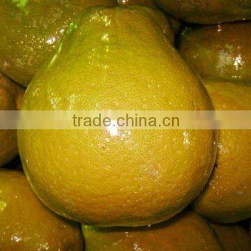 new fresh pomelo saler