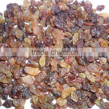 Maliyar Raisin B Grade