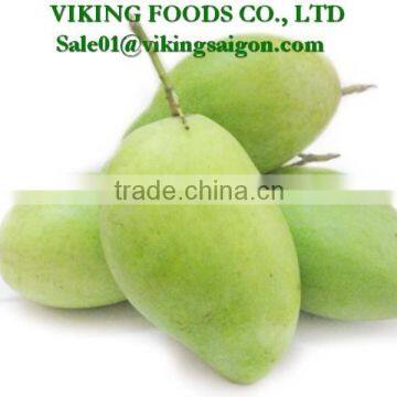 FRESH MANGO GOOD QUALITY FROM VIET NAM