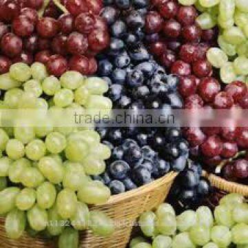 fresh grapes export india/black grapes ,white grapes,seedless grapes exporter