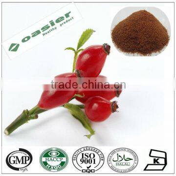 Natural GMP rose hips extract / rosa canina