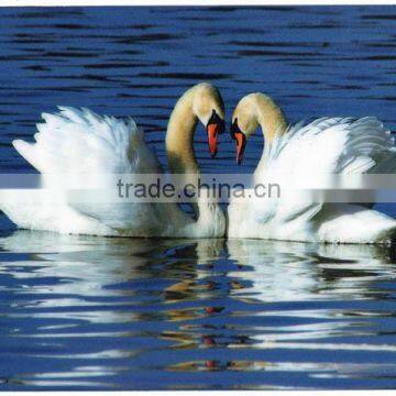 HIGH FREGUENCY PVC PRINT MOUSE PAD photo-1