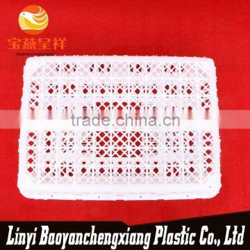 New Polyethylene China Nice Plastic Chicken Cage photo-4