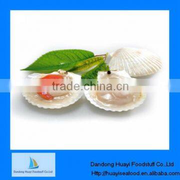 High quality frozen cooked bay scallop