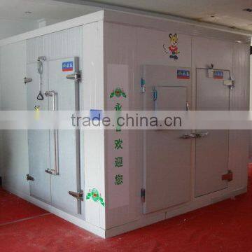 Popular Promotional Factory Frozen Cold Room for Meat