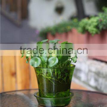 Different Size Wholesale Miniature Plant Pots With Tray photo-5