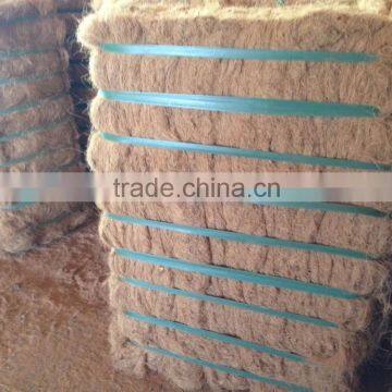 Coconut Fiber High Quality (QQ : 2598494113) photo-4