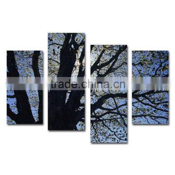 Contemporary towering tree big canvas prints scenery photo