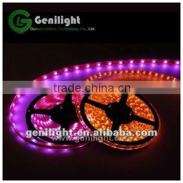 5050 led strip 10mm rgb