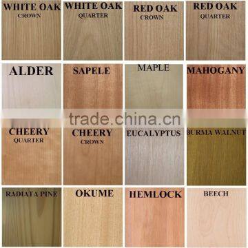 Solid Wooden Door with best design manufacturer with ISO CE