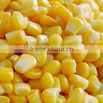 SWEET CORN KERNEL