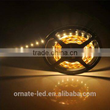 IP67 waterproof smd 3528 led strip 24 v 120 leds/m