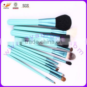 EYA 12pcs luxurious makeup brushes