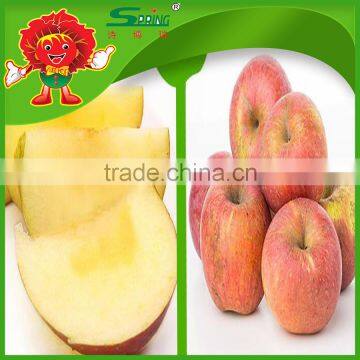 big fuji apples high quality chinese fuji apple on sale