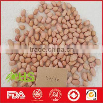 Fresh and New Blanched Peanut Kernel photo-3