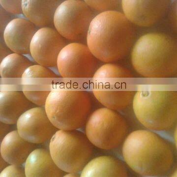 Wholesale China navel orange