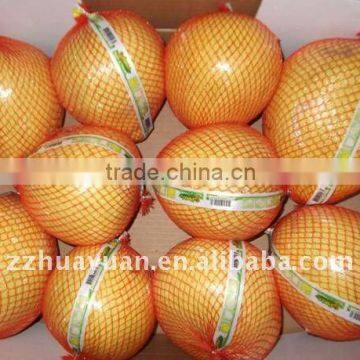 New Crop Shatian Pomelo