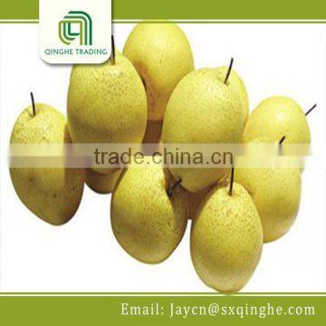 chiese fresh fruit pear