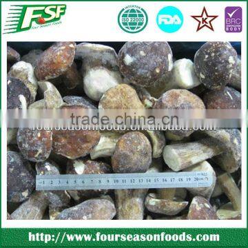 2016 New corp IQF Porcini Mushrooms Frozen Porcini Mushrooms