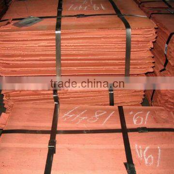 High Quality Copper Cathode Hot Sale (B8)