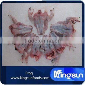 New Arrival Frozen Fresh Frog Leg