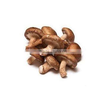 Detan Hot Dried Shiitake Mushrooms photo-6