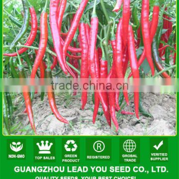 AP181 Zhuangnan beautiful skin long red hybrid hot pepper seeds