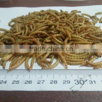 Full nutrition natural food aquarium fish food microwave dried mealworm