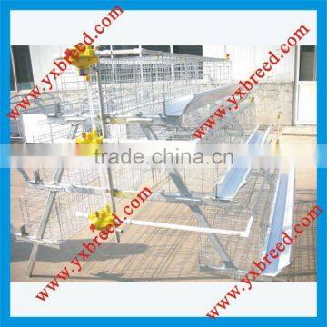 Poultry cages for chicken breeding