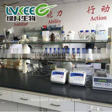 China 20 Bilion Cfu/g Bacillus Amyloliquefaciens for Agriculture photo-4