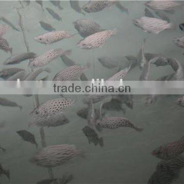 Recirculating Aquaculture Systems Suppliers photo-2