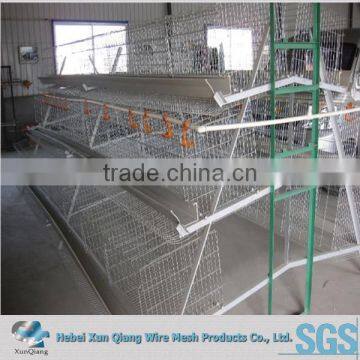 chicken egg layer cages/uganda poultry farm automatic chicken layer cage