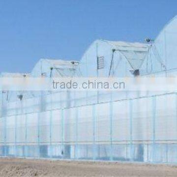 Greenhouse for Agriculture Hydroponics photo-3