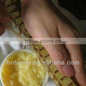 Healthy and tasty fresh royal jelly