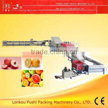 Salable Fruit Washing and Waxing Machine