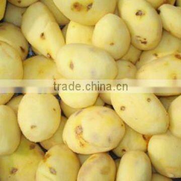 Stainless Steel Electric Potato Peeling Machine photo-4