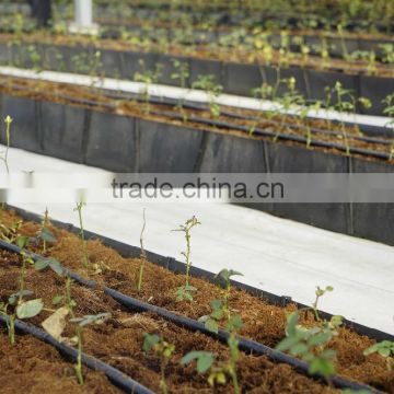 Grow rough for tomato / Vegtable