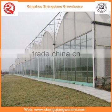 Agriculture Equipment Multi-span 8.0m PE Film Agriculture Greenhouse Plastic for Sale photo-6
