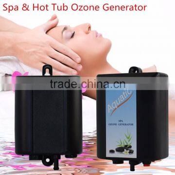 0-4 hrs timer 300 mg/h hot tube spa ozonator water purifier for hot tub