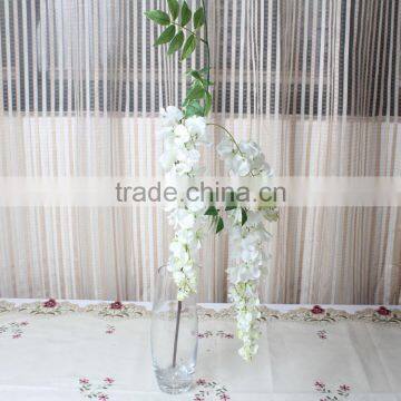 CHY012818 Wisteria Blossom Flower photo-2