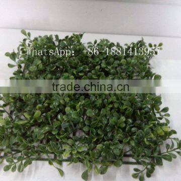 SJC005 Artificial Milan Grass Turf Plastic Thick Grass photo-5
