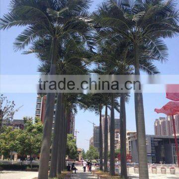 OEM /ODM Manufacture Artificial Coconut Tree photo-3