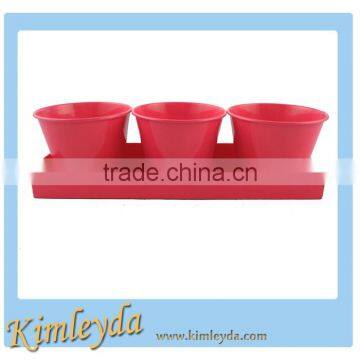 Metal Flower Pots/planter in Tray photo-3