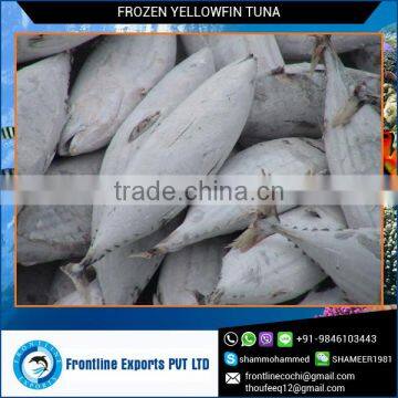 Top Quality Frozen Yellow Fin Tuna Loins for Sale