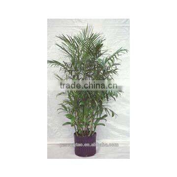 Indoor Foliage Artificial Plant Artificial Potted Plants photo-5