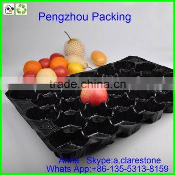 Pengzhou Plastic Paint Tray photo-3