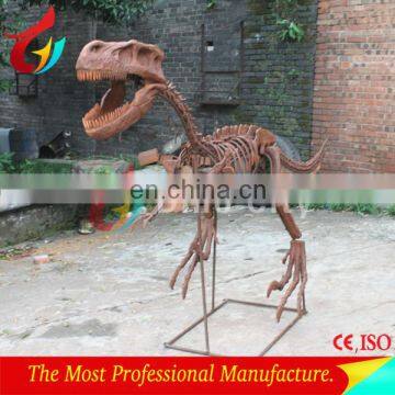 Paleontology museum simulated dinosaur skeleton