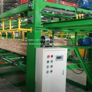 Servo Motor Wood Veneer Composer Machine photo-4
