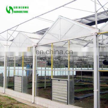 Cheap Clear Polycarbonate Greenhouse For Agriculture