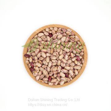 New Crop Oval Round Price Cranberry Beans